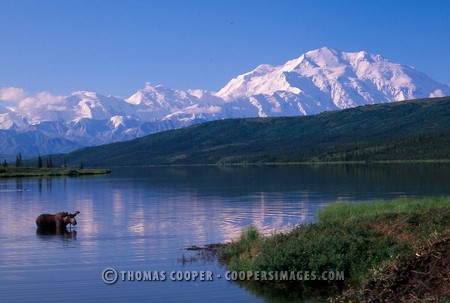 Wonder Lake - Denali National Park, Alaska - 1997