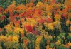 Fall Color - Copper Harbor, Michigan